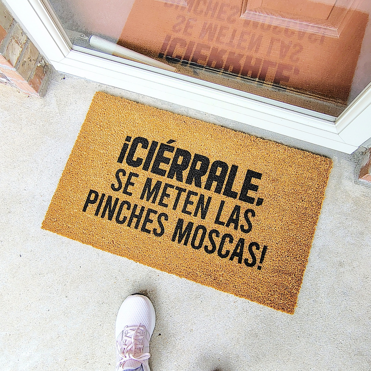 Ciérrale , se meten las pinches moscas!